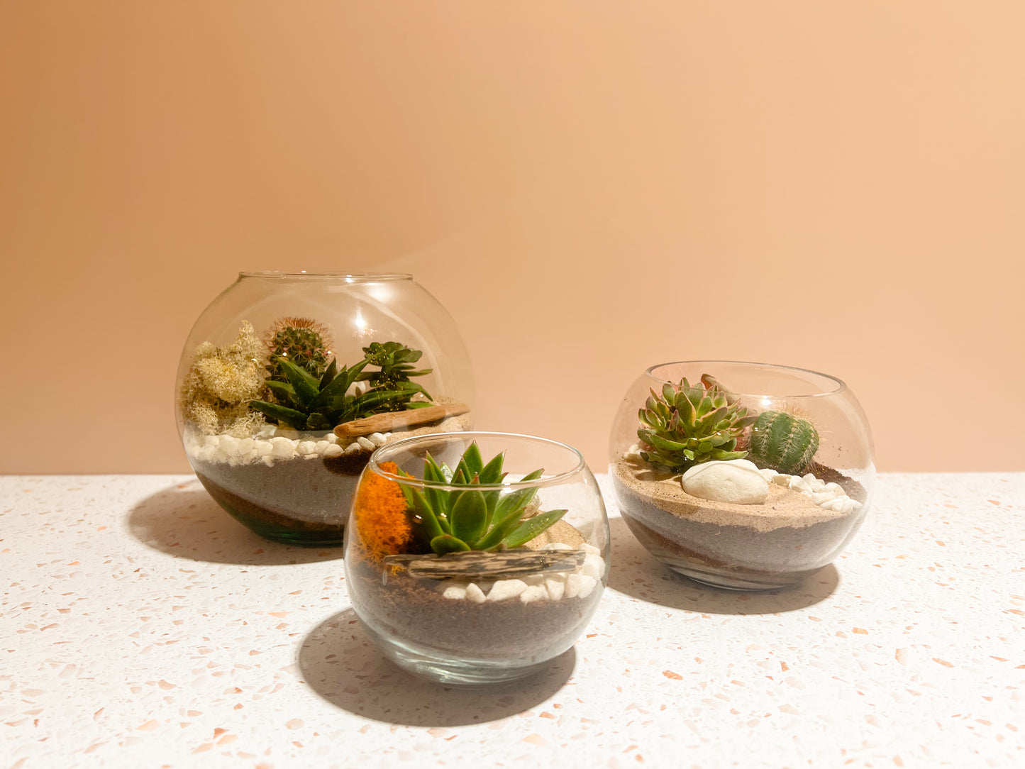 Make Your Own Terrarium - Adult Craft Kits