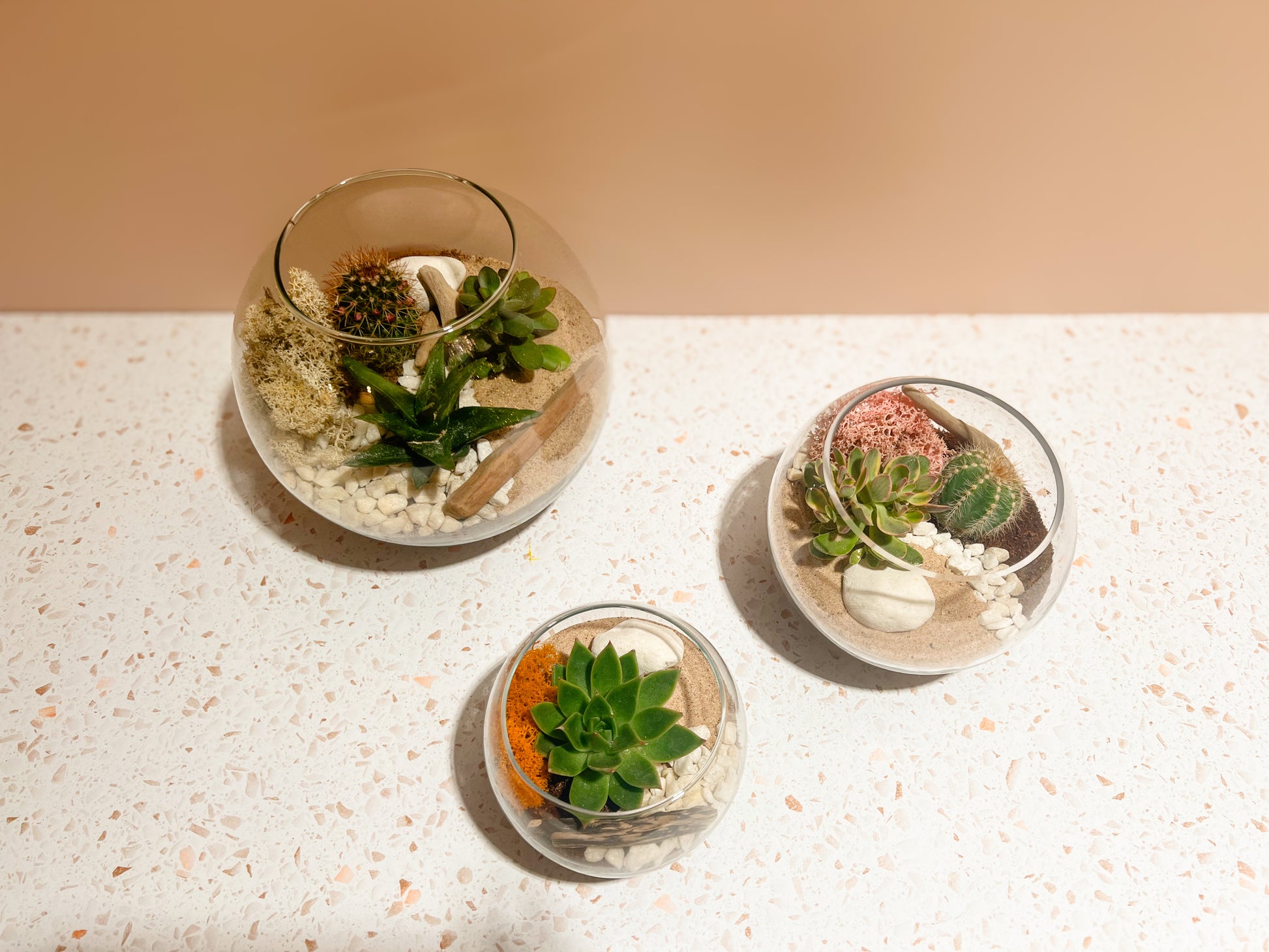 Make Your Own Terrarium - Adult Craft Kits