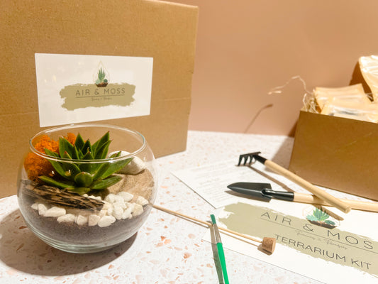 Make Your Own Terrarium - Adult Craft Kits