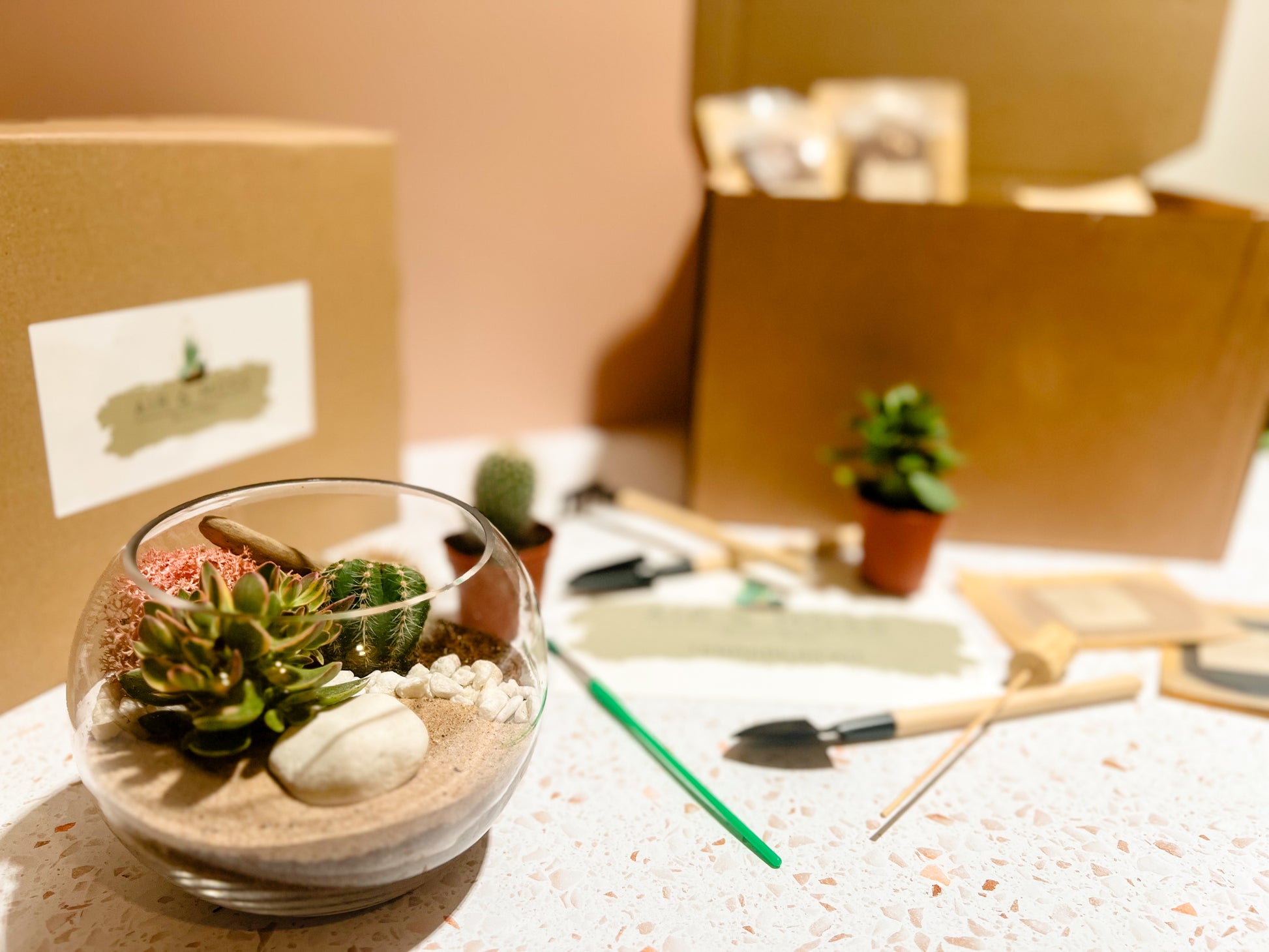 Make Your Own Terrarium - Adult Craft Kits