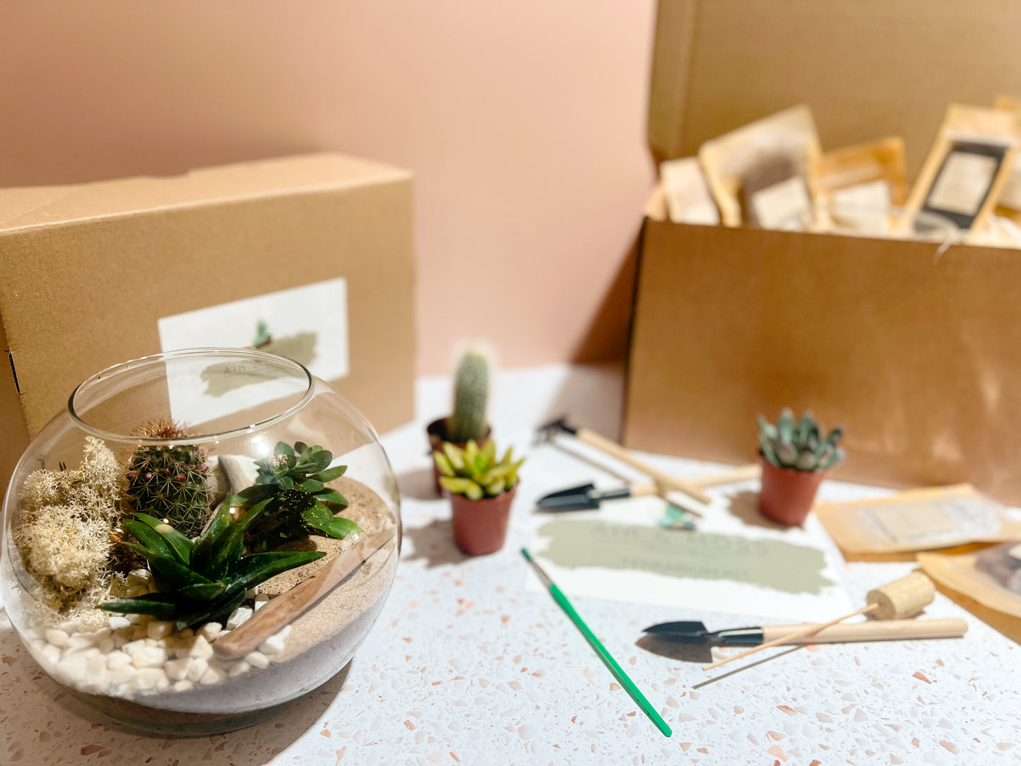 Make Your Own Terrarium - Adult Craft Kits