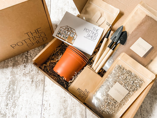 Adult Craft Kit - Craft Box - Make Your Own - Craft Subscription